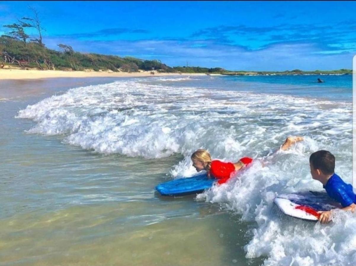 Private Condos In Waikiki, Private Car Rental Included, Beach Gear And Camping Gear Honolulu Exterior photo